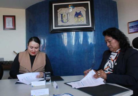 Convenio de Chiautempan con UMT abre opciones de profesionalización a servidores públicos y alumnos imagen 1