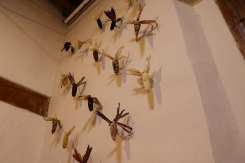 Secretaría de Cultura invita a crear en el laboratorio “Arte Vivo Tlaxcala” imagen 6