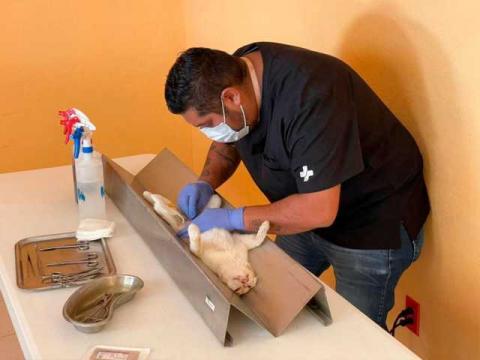 Caravana de Salud llega con éxito a la comunidad de General Francisco Villa imagen 1