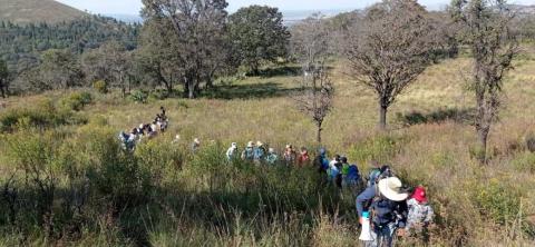 Coordinación de Juventud de Tetla realizó una caminata de senderismo imagen 5