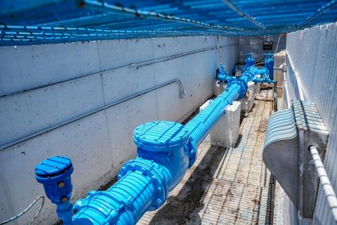 Emite CAPAM requisitos para nuevo descuento en pago anual dirigido a madres y padres solteros imagen 1