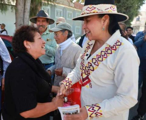 Recorre Ana Lilia Rivera municipios de Tlaxcala; informa casa por casa sus actividades legislativas imagen 2