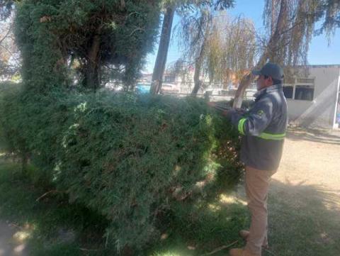 Servicios Municipales mantiene limpio y en óptimas condiciones el centro y los espacios públicos de Huamantla imagen 1