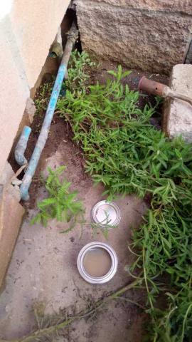 CAPAMH refuerza acciones de mantenimiento y mejora en la red hídrica y vialidades de Huamantla imagen 7