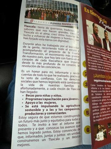 Ana Lilia y sus secuaces tapizan Apizaco de basura imagen 6