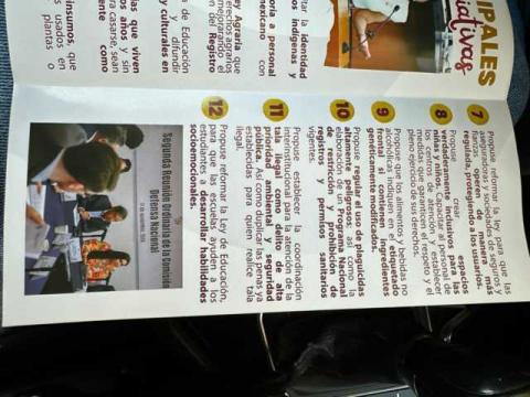 Ana Lilia y sus secuaces tapizan Apizaco de basura imagen 2