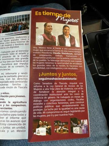 Ana Lilia y sus secuaces tapizan Apizaco de basura imagen 5