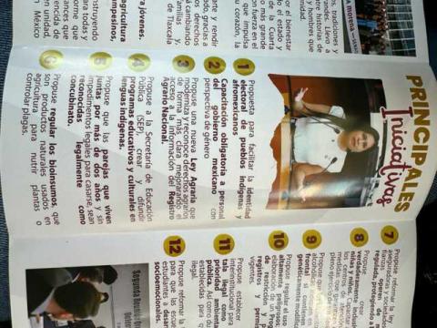 Ana Lilia y sus secuaces tapizan Apizaco de basura imagen 7