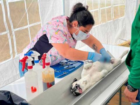 Concluye la penúltima caravana de salud y servicios del ayuntamiento 2025 en la Colonia Mauro Angulo imagen 5