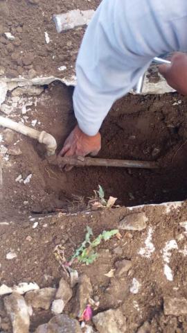 Reporte de actividades de la CAPAMH durante este dia imagen 8