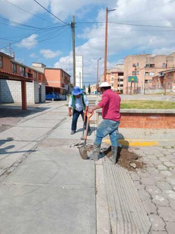 Reporte de actividades de la CAPAMH durante este dia imagen 4