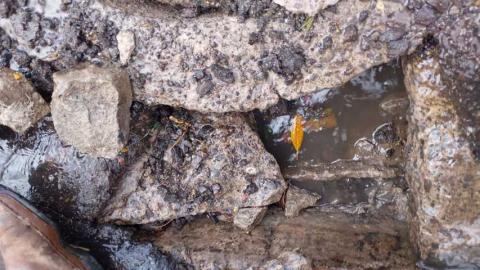 Reporte de actividades de la CAPAMH durante este dia imagen 5