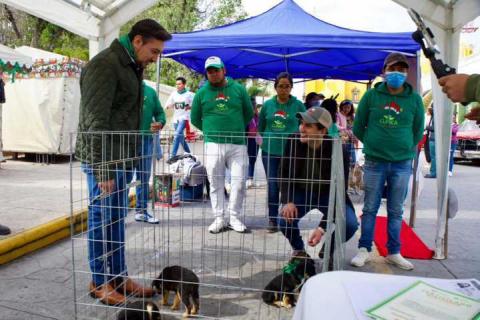 Con éxito se realiza jornada de adopción “Adopta un Amigo” en Huamantla imagen 7
