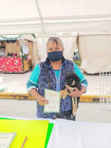 Con éxito se realiza jornada de adopción “Adopta un Amigo” en Huamantla imagen 2