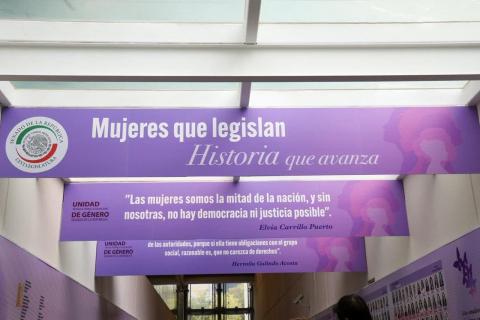 Ana Lilia Rivera, protagonista en el libro y galería del Senado “Mujeres que legislan, historia que avanza” imagen 2