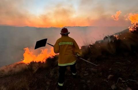 Balance positivo, Tlaxcala registro baja incidencia de incendios forestales en 2025