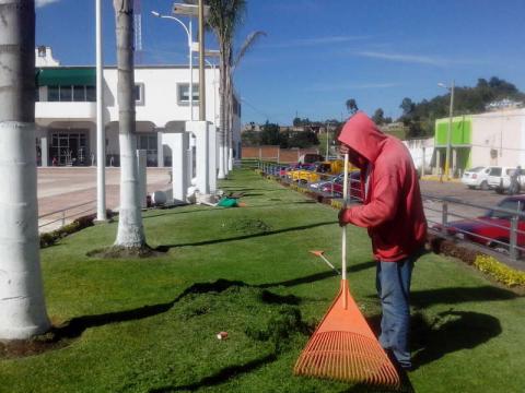 Dan mantenimiento a áreas verdes en Tzompantepec imagen 2