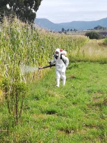 Realizan con éxito segundo cerco sanitario en Texóloc imagen 5