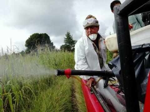 Realizan con éxito segundo cerco sanitario en Texóloc imagen 1