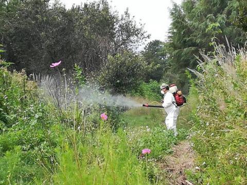 Realizan con éxito segundo cerco sanitario en Texóloc imagen 3