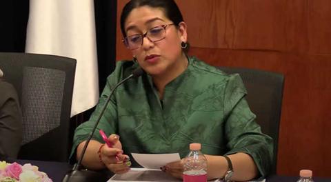 Sin maestría ni experiencia , magistrada Mary Cruz Cortés se apunta para ser consejera del INE