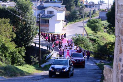 Desfile de lucha contra el cáncer de mama en Texóloc imagen 7