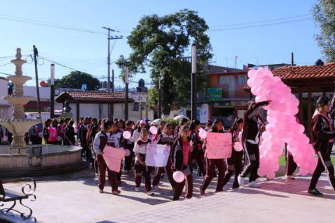 Desfile de lucha contra el cáncer de mama en Texóloc imagen 4