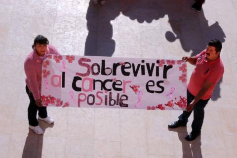 Desfile de lucha contra el cáncer de mama en Texóloc imagen 1