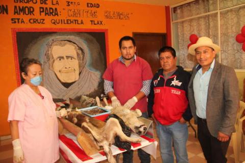 Ayuntamiento efectuó campaña masiva de esterilización de perros y gatos imagen 3