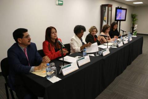 Necesario consolidar más herramientas para garantizar la justicia para las mujeres y las niñas imagen 3
