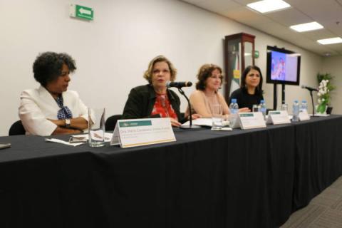 Necesario consolidar más herramientas para garantizar la justicia para las mujeres y las niñas imagen 4