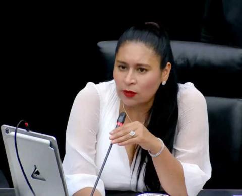 Rendirá cuentas. Ana Lilia Rivera convoca a su informe entre apoyo ciudadano y ambiente político