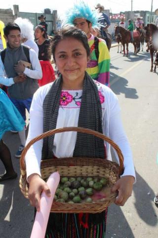 Arrancó “feria del tomate y la canasta 2017” con su tradicional desfile imagen 6