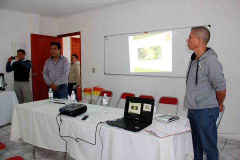 Apoyarán a campesinos con subsidio en semillas mejoradas de maíz, alfalfa y avena imagen 1