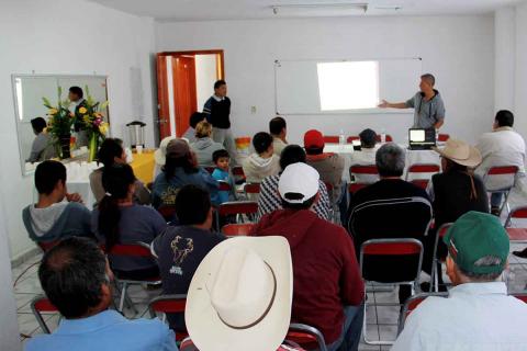 Apoyarán a campesinos con subsidio en semillas mejoradas de maíz, alfalfa y avena imagen 3