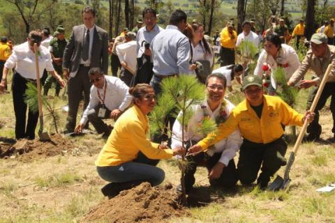Nativitas sede del Día del Árbol y el Combatiente de Incendios Forestales imagen 2