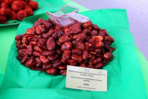 Clausuran en Texóloc cursos de la Brigada 19 imagen 8