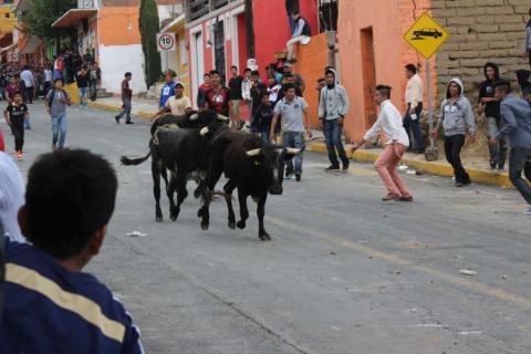 La tocatlanada arrojó saldo blanco imagen 3