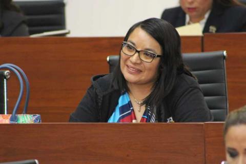 Laura Flores Lozano es la nueva coordinadora del grupo parlamentario del PRD