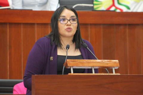 Propone Laura Flores ampliar hipótesis para configurar tipo penal de feminicidio imagen 2