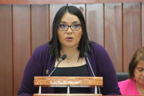 Propone Laura Flores ampliar hipótesis para configurar tipo penal de feminicidio imagen 1