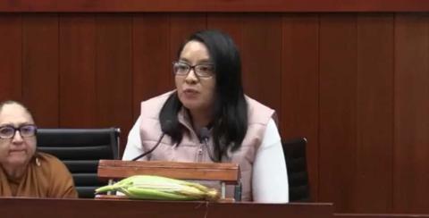 Diputada Laura Flores exige creación de Fondo de Apoyo al Campo y denuncia abandono de los campesinos