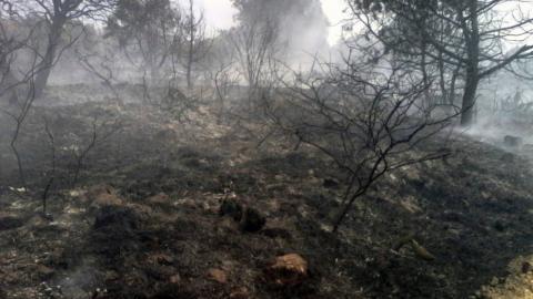 Protección Civil municipal exhorta a pobladores a realizar quemas controladas imagen 2