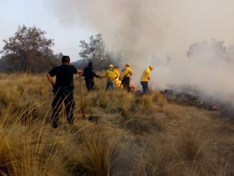 Atendió Protección Civil de Tlaxco 25 incendios en el primer trimestre del año imagen 9