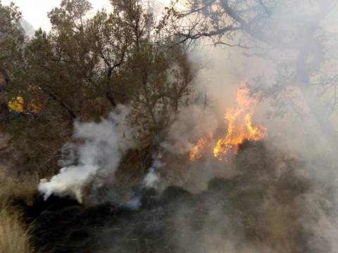 Atendió Protección Civil de Tlaxco 25 incendios en el primer trimestre del año imagen 7