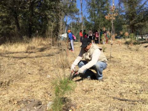Se suma comuna capitalina a trabajos de preservación de Parque “La Ocotera” imagen 2