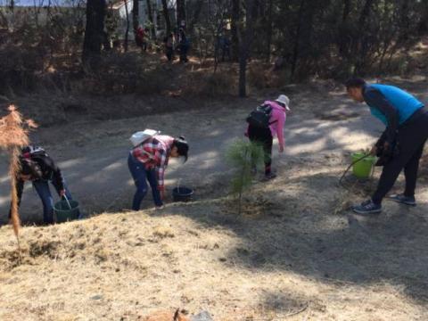 Se suma comuna capitalina a trabajos de preservación de Parque “La Ocotera” imagen 4