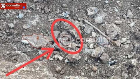Perros descubren cadáver enterrado en Ixtacuixtla; investigan homicidio oculto