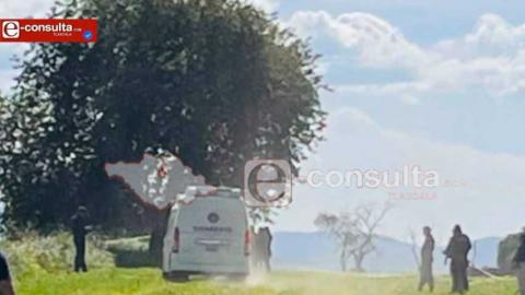 Subió a cortar capulines y se encontró con la muerte; cayó de un árbol en Sanctórum
