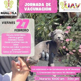 Servicios de salud y prevención son prioridad para el alcalde de Papalotla